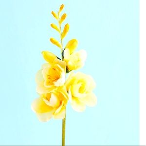 Like the item and not the price